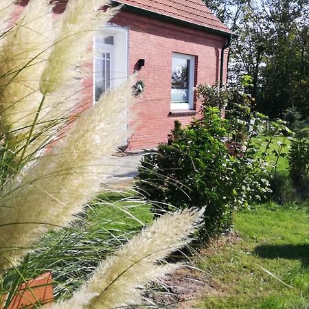 Landhaus Loewenzahn Dornum Esterno foto