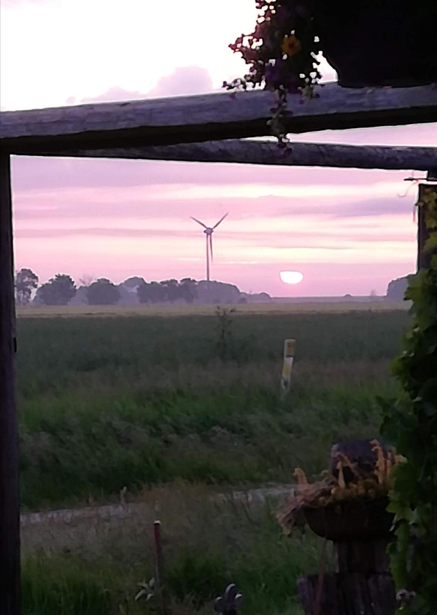 Landhaus Loewenzahn Dornum Esterno foto