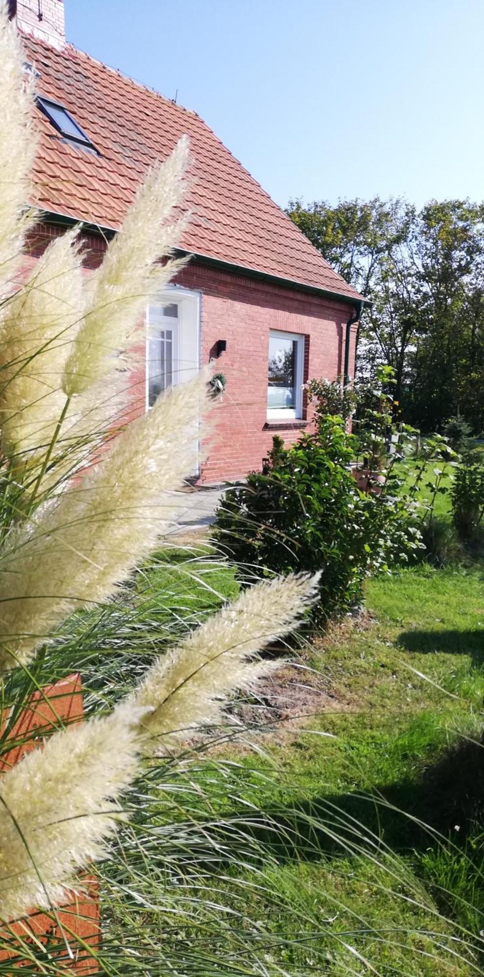 Landhaus Loewenzahn Dornum Esterno foto